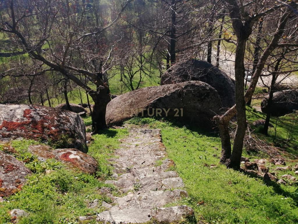 Terreno em Freigil, Resende com Vista Panorâmica e Acesso Fácil - Image 8