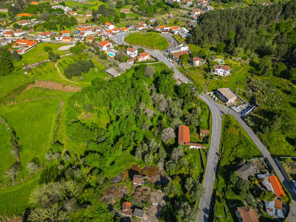 🌿 Quinta Rústica com 15.075 m² | Para Recuperar | Póvoa de Lanhoso, Braga - Image 37