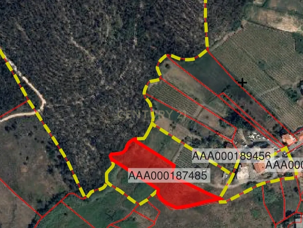 Terreno de 4.520 m2 em Monte Redondo -Torres Vedras - Image 6