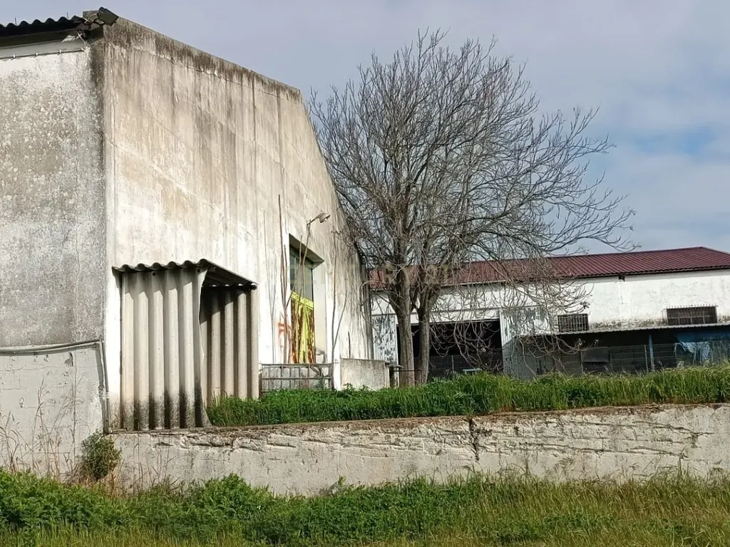 Espetacular Propriedade em Caia, Elvas - 574m² por 315.000€ - Image 16