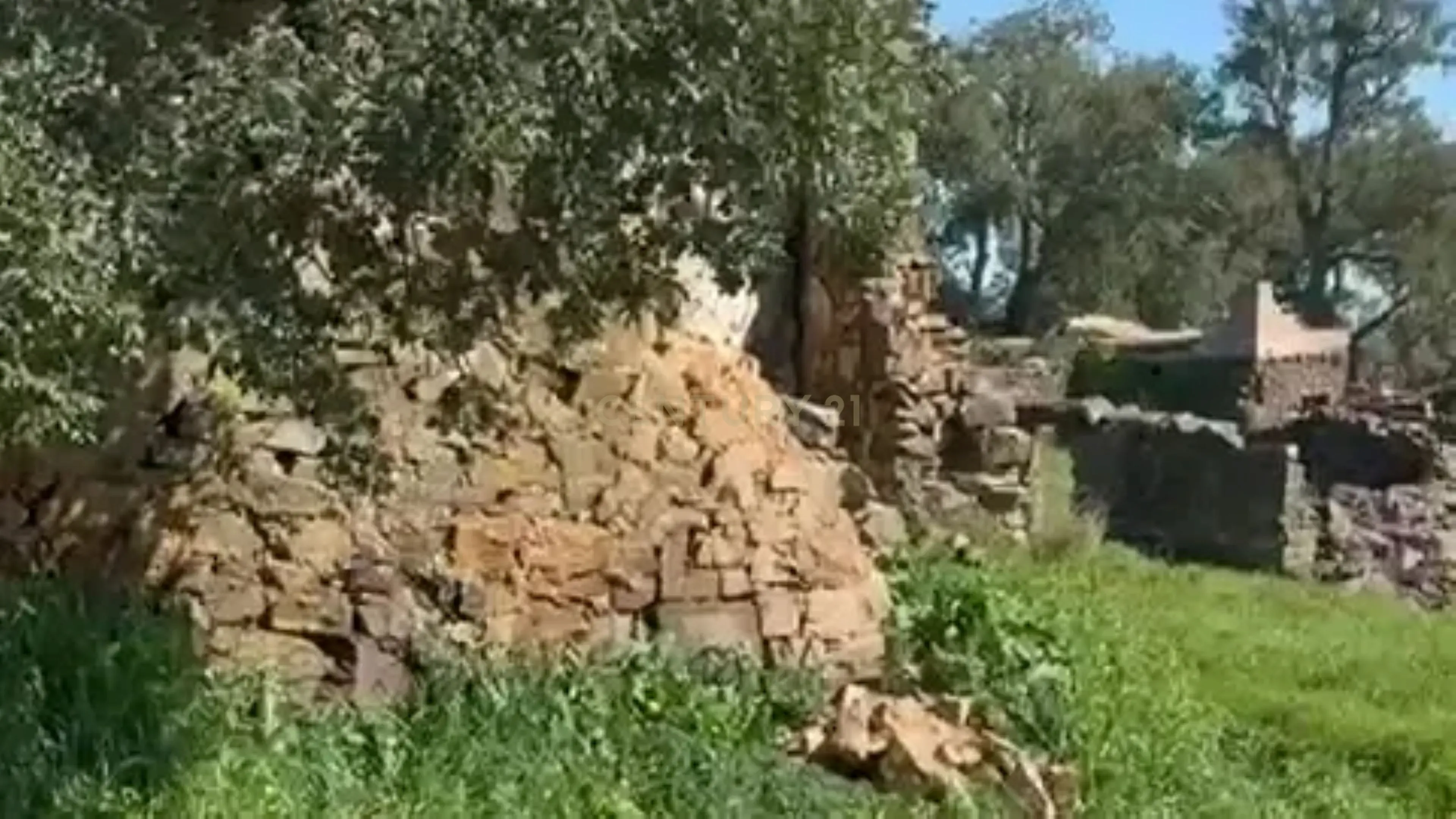 Fotografia 8 de Terreno para Reconstrução, com Água, Natureza e bons acessos, em Cravais de Cima, Salir, Loulé, Algarve.