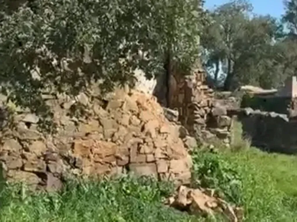 Terreno para Reconstrução, com Água, Natureza e bons acessos, em Cravais de Cima, Salir, Loulé, Algarve. - Image 8