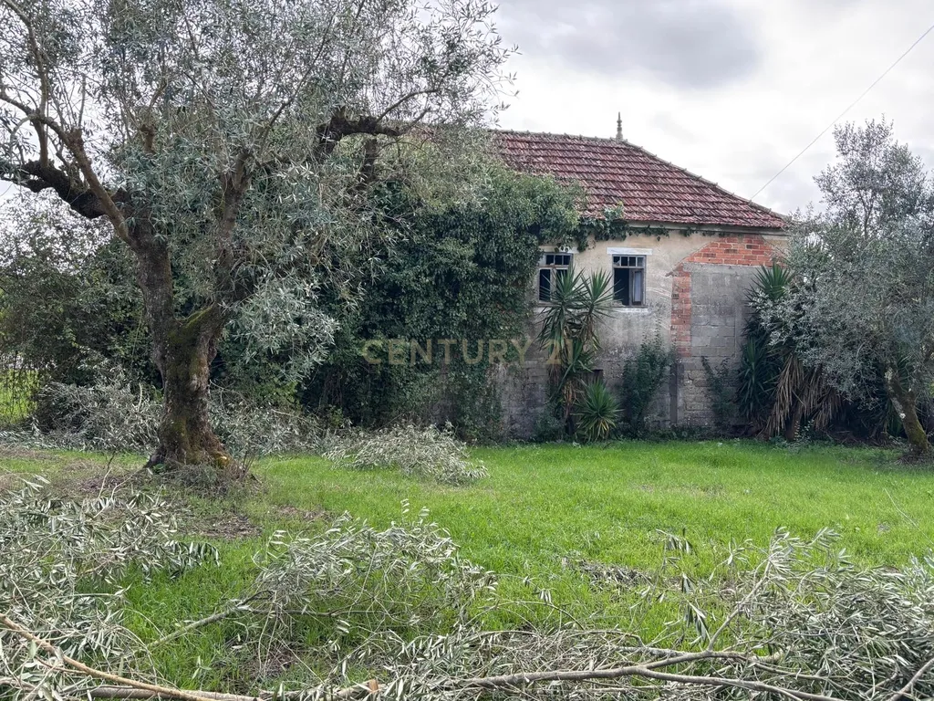 Moradia em ruína para recuperação em Pombal, Leiria - Image 7