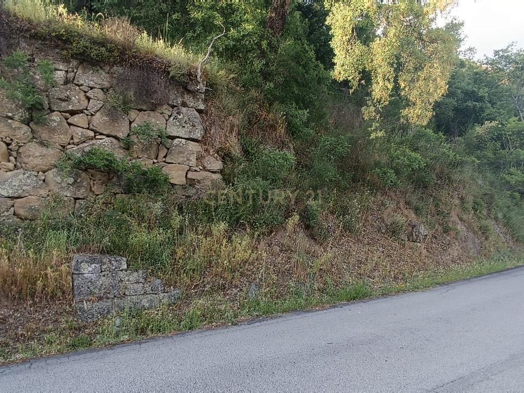 Terreno florestal com vista para a praia fluvial de Porto de Rei em Barqueiros, Mesão Frio às portas do Douro - Image 16