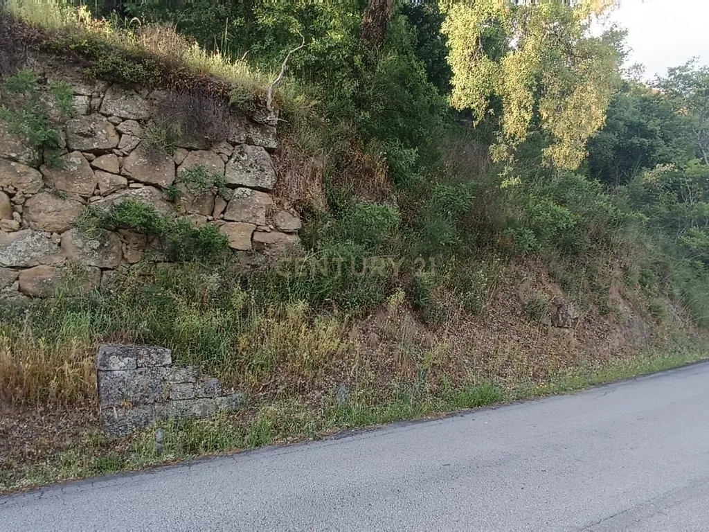Terreno florestal com vista para a praia fluvial de Porto de Rei em Barqueiros, Mesão Frio às portas do Douro - Image 16