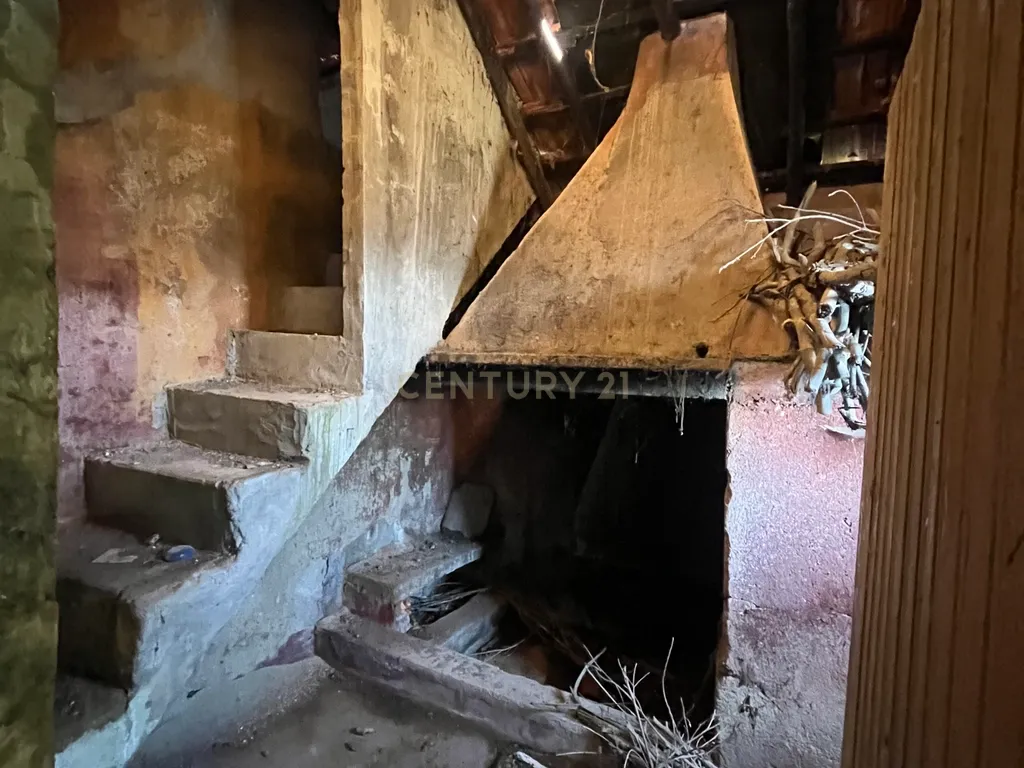 Moradia para reconstrução em São Mamede - Penacova - Image 5