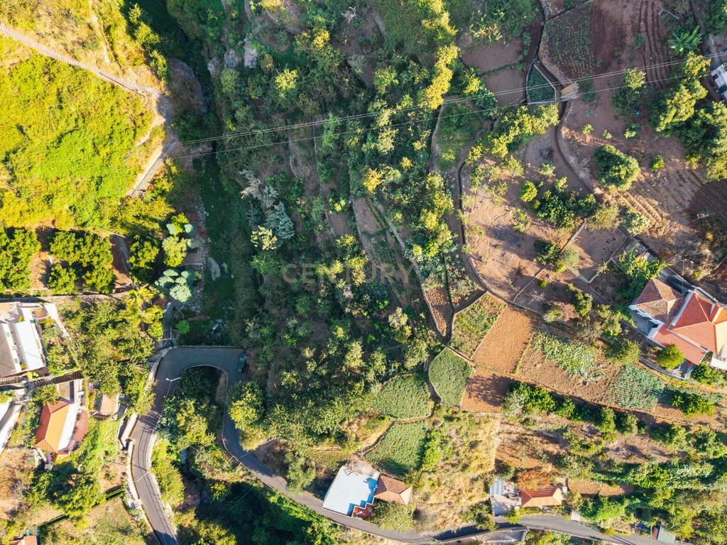 Terreno Rústico com Potencial para Construção – Jardim da Serra, Câmara de Lobos - Image 4