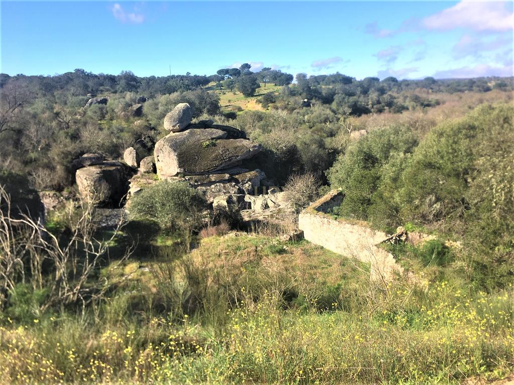 Quinta Típica Alentejana, Licença de Turismo Rural, Arrendamento, Arraiolos - Image 47