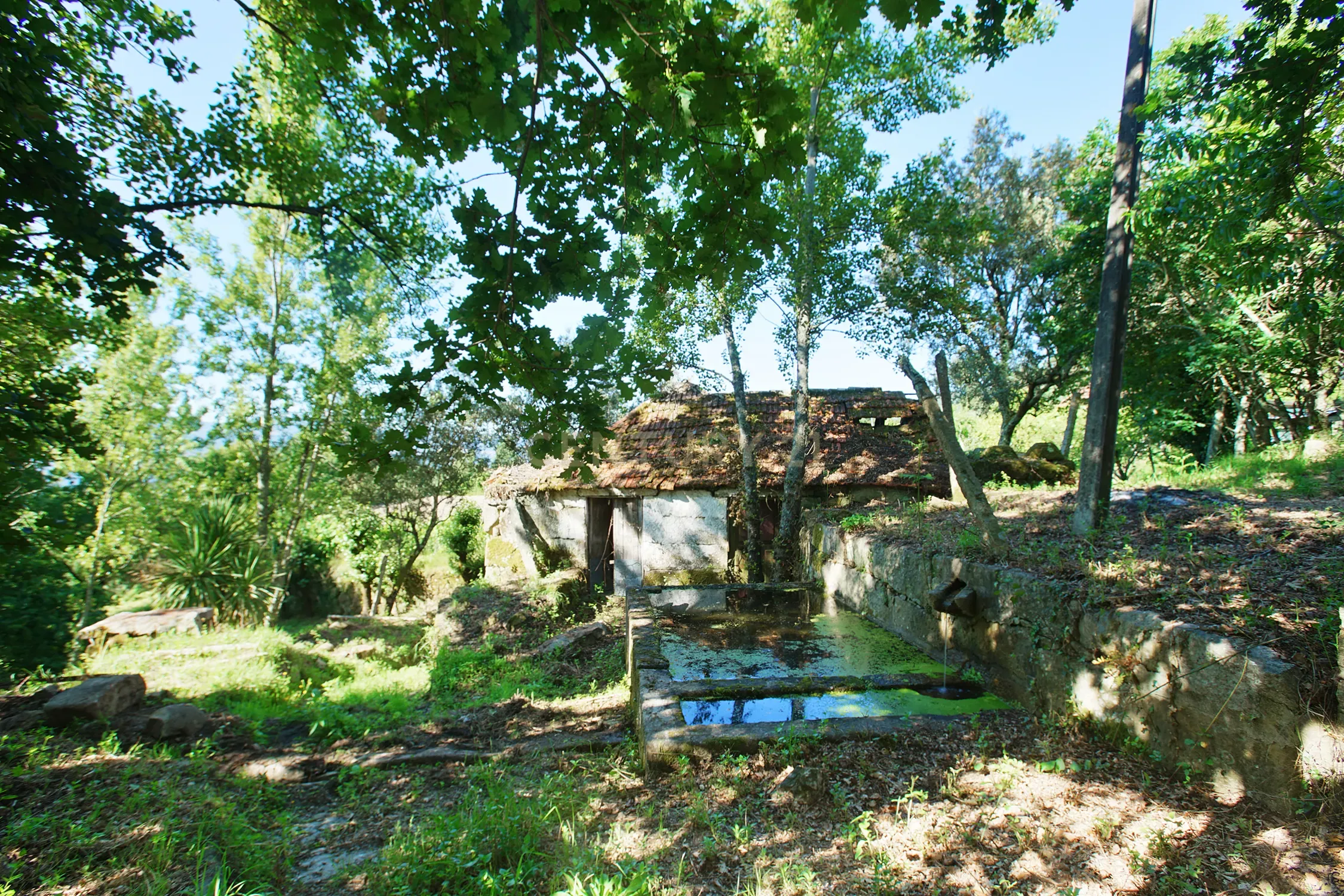 Quinta com 2 casas para restauro em Sande Marco de Canaveses - Image 7