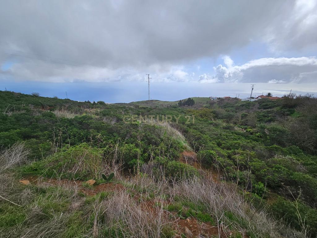 undefined - Image 4
