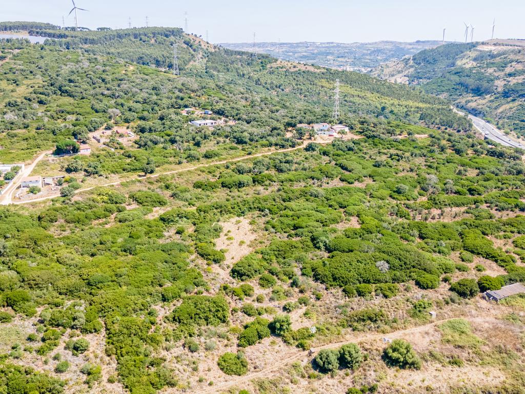 Terreno - Image 5