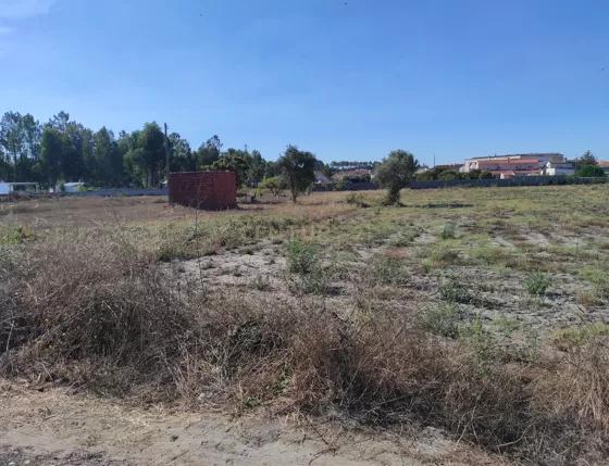 Terreno no Casal Galego, Marinha Grande - Image 7