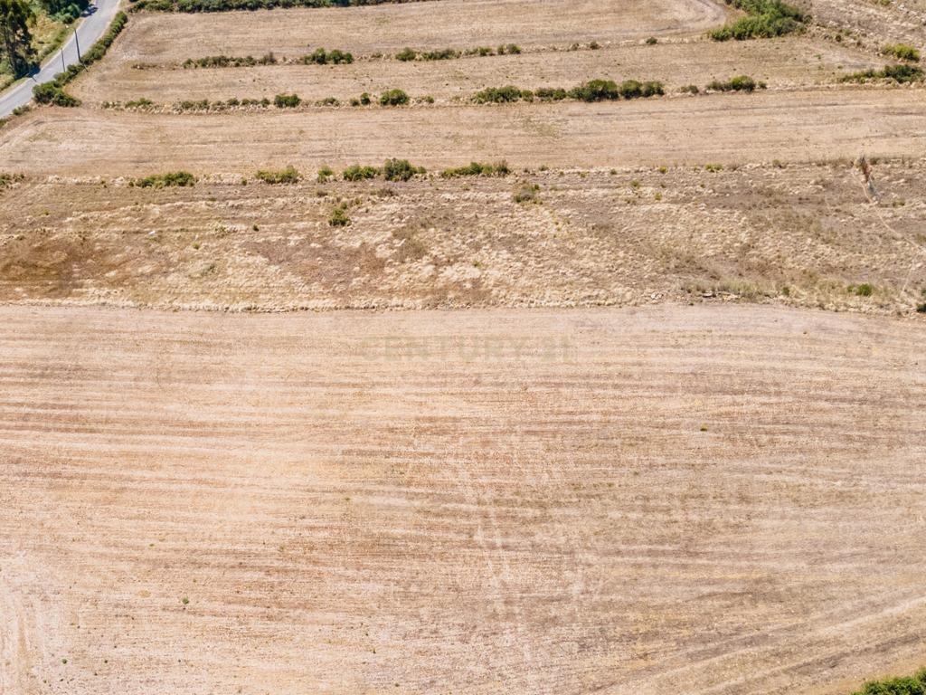 Terreno - Image 8