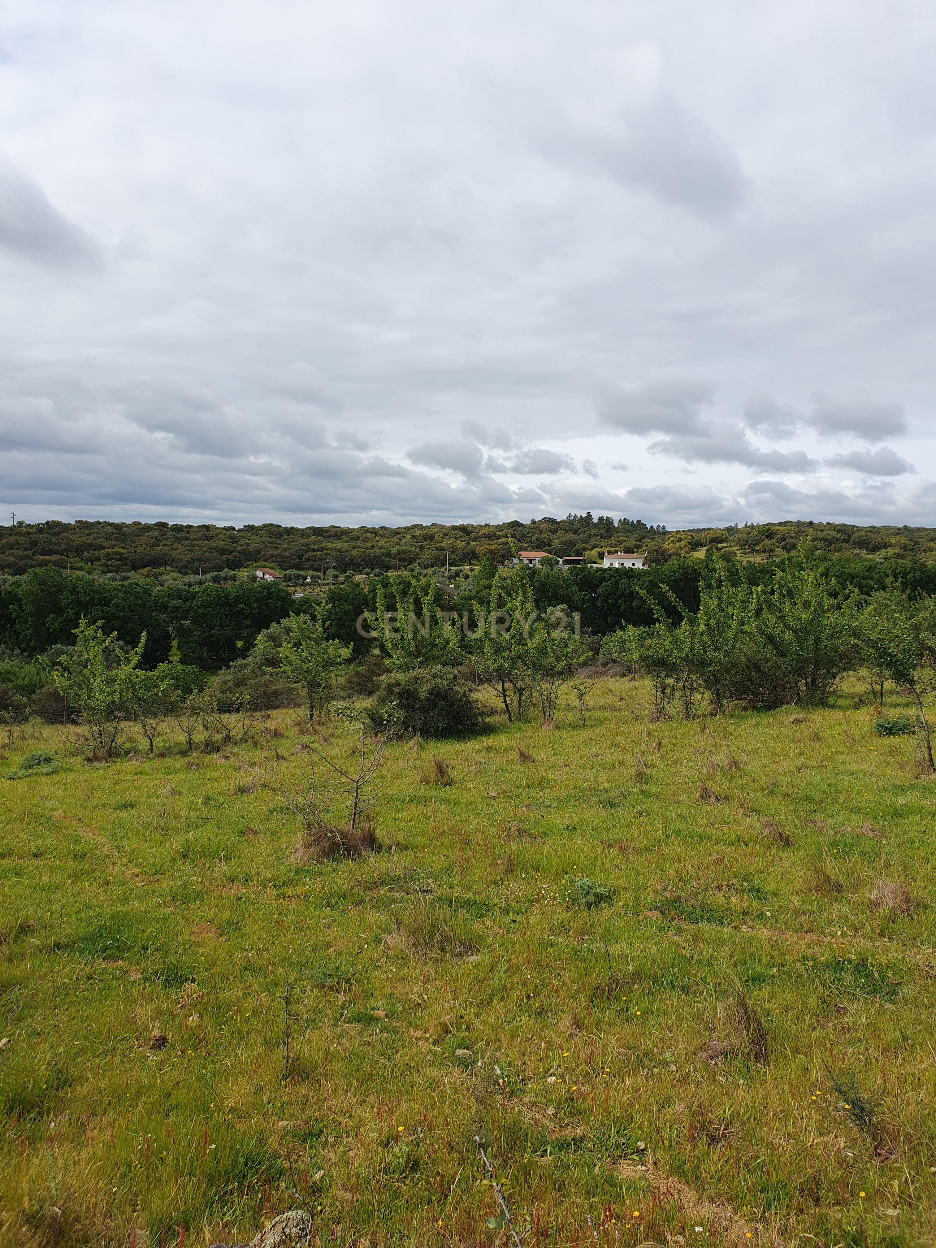 Fotografia 8 de Terreno Urbano na Serra D`Ossa Redondo