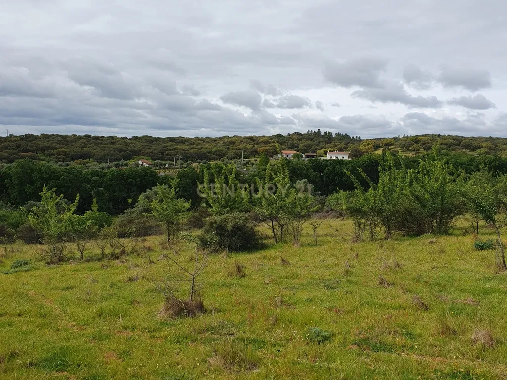 Terreno Urbano na Serra D`Ossa Redondo - Image 8