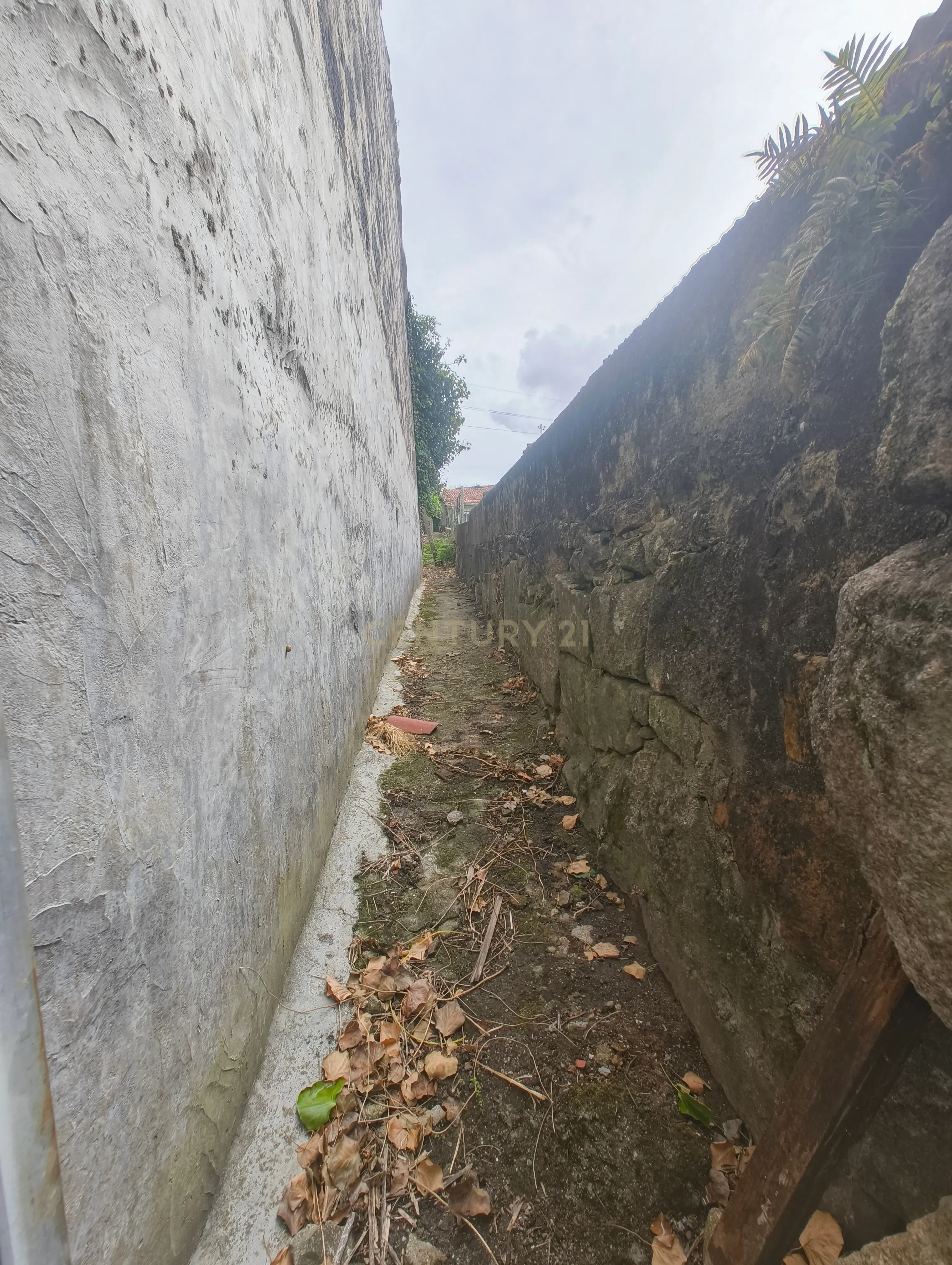 Fotografia 3 de Terreno às Antas para construção em altura