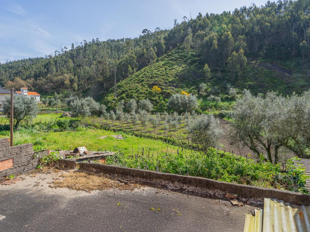 Moradias para Reconstruir em Ribas, Vila Nova de Poiares - Image 29