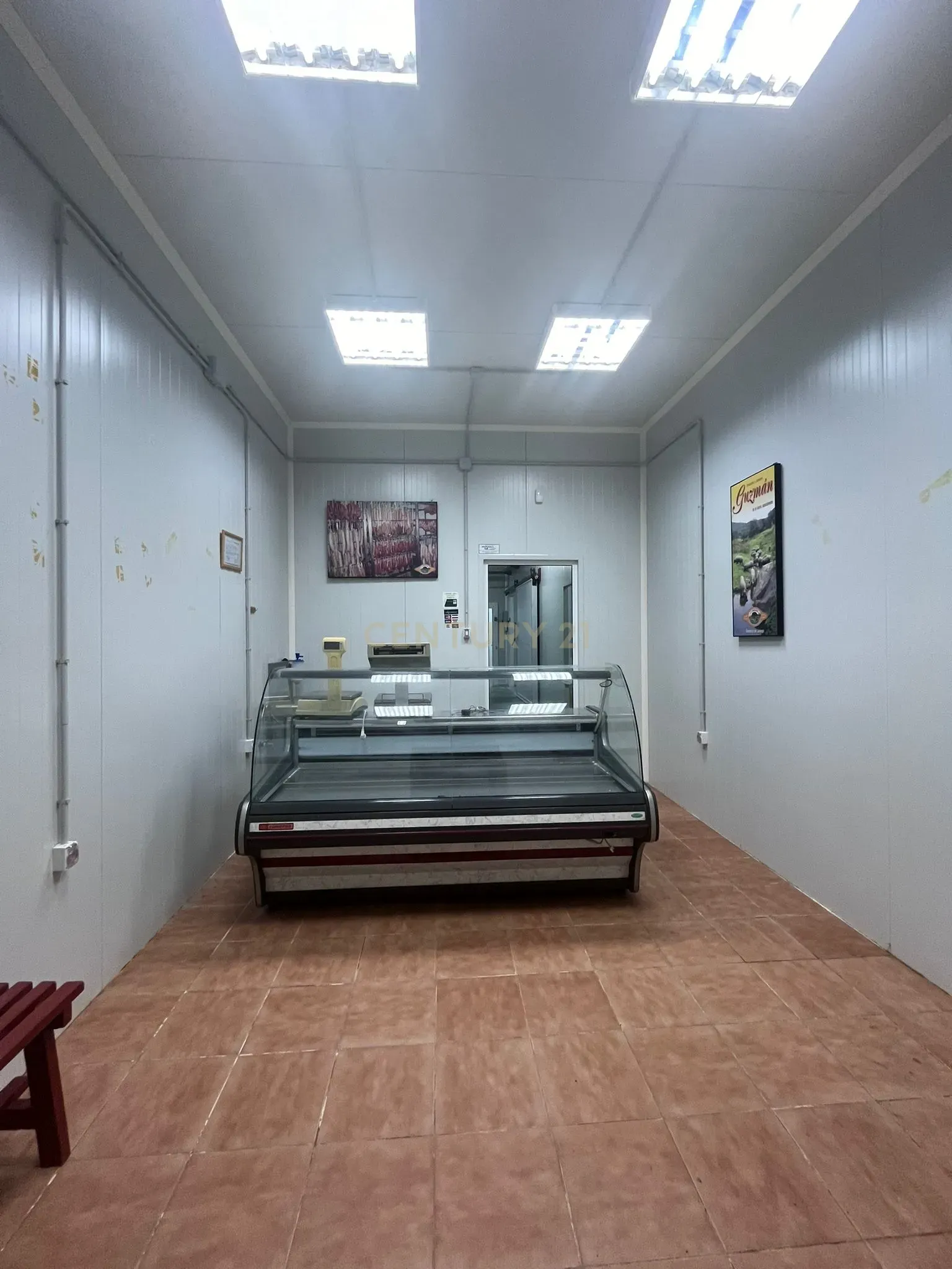 - Image 11