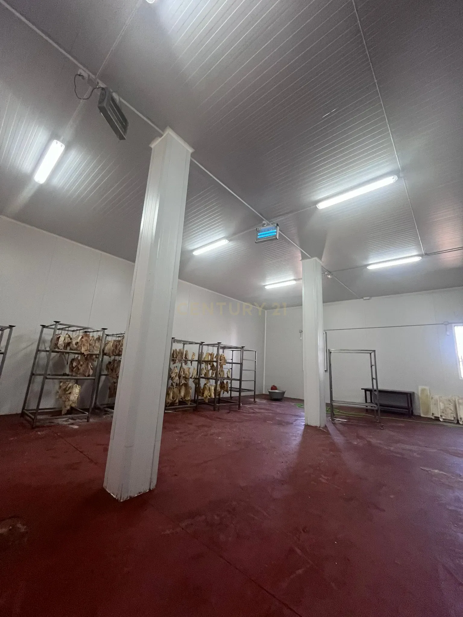 - Image 21