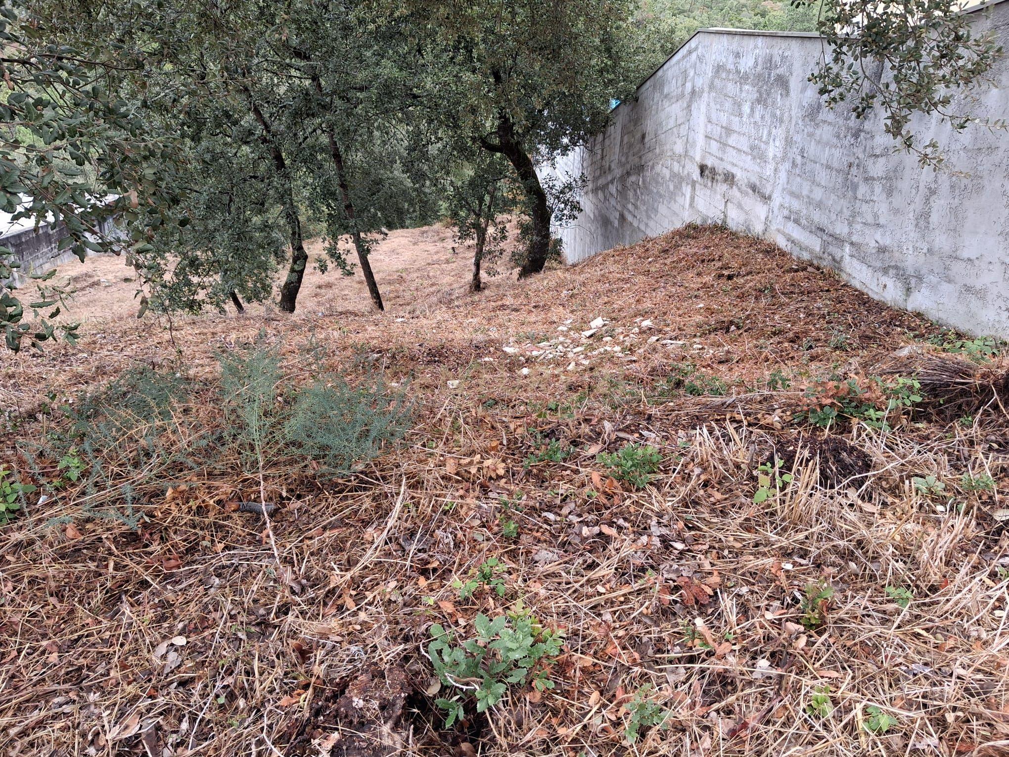 Fotografia 6 de Lote em Zona Nobre de Pombal