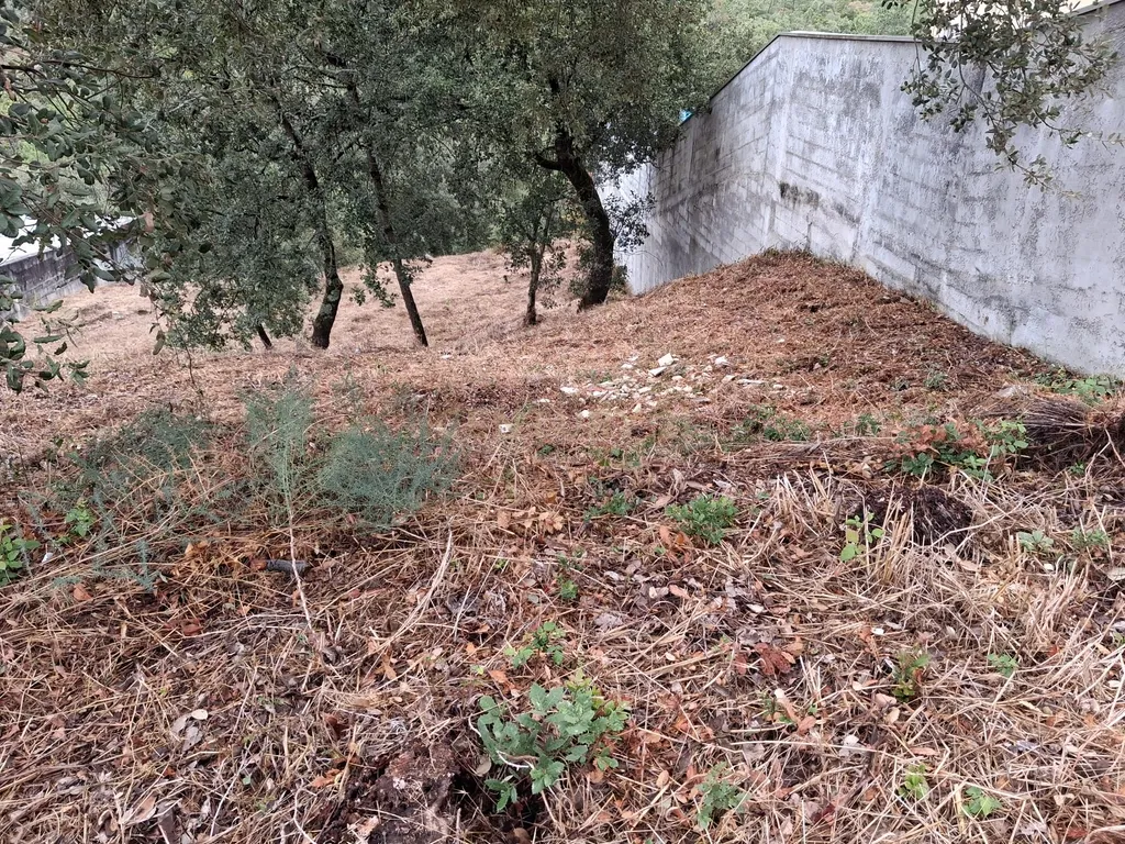 Lote em Zona Nobre de Pombal - Image 6