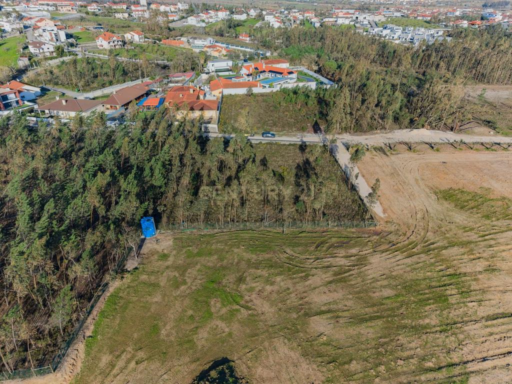 Terreno Rústico com Viabilidade de Construção — Barosa, Leiria - Image 8