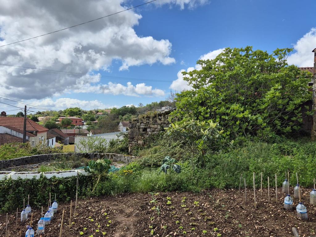 Oportunidade Única - Refúgio com vista para a Serra de Sicó, em Cotas, Pombalinho.  - Image 35