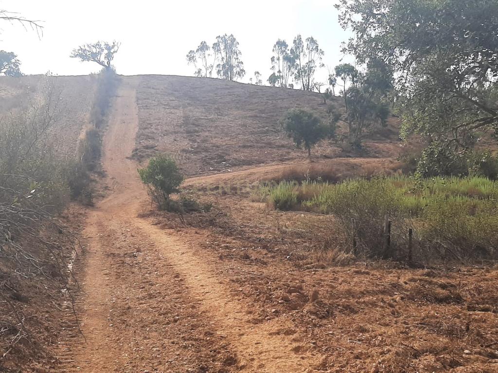 Terreno Rústico com Potencial Agrícola e de Lazer, Ourique, Beja - Image 2