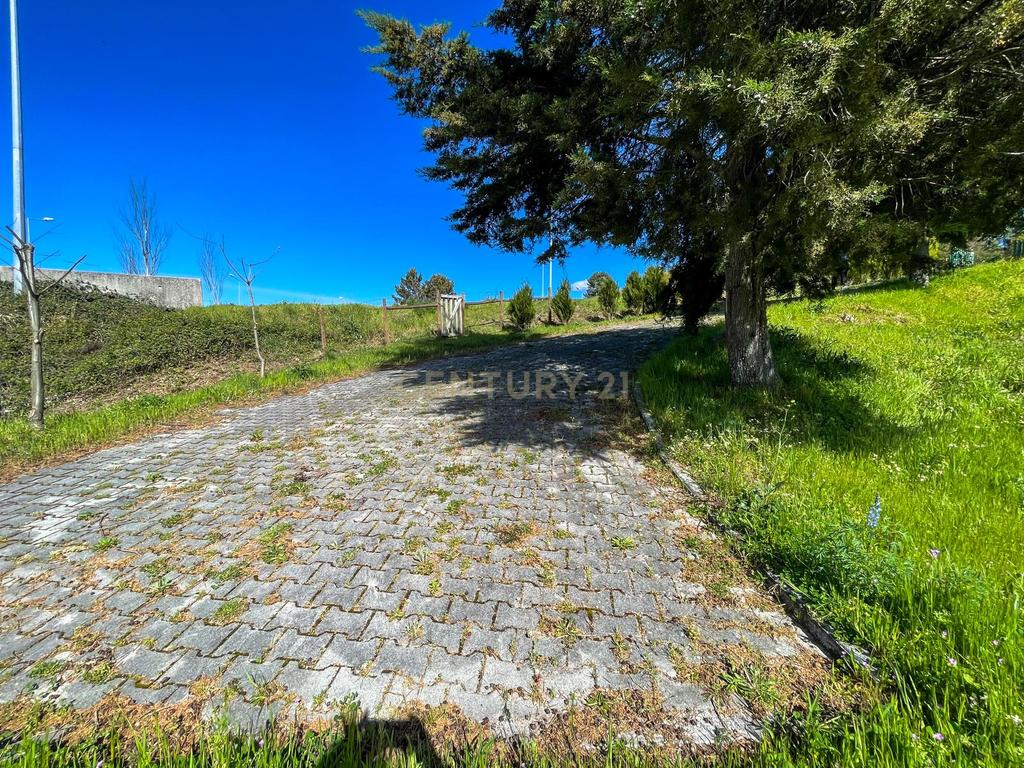 Quinta de Santa Guilha | Tradição, Natureza e Charme em Gouveia - Image 6