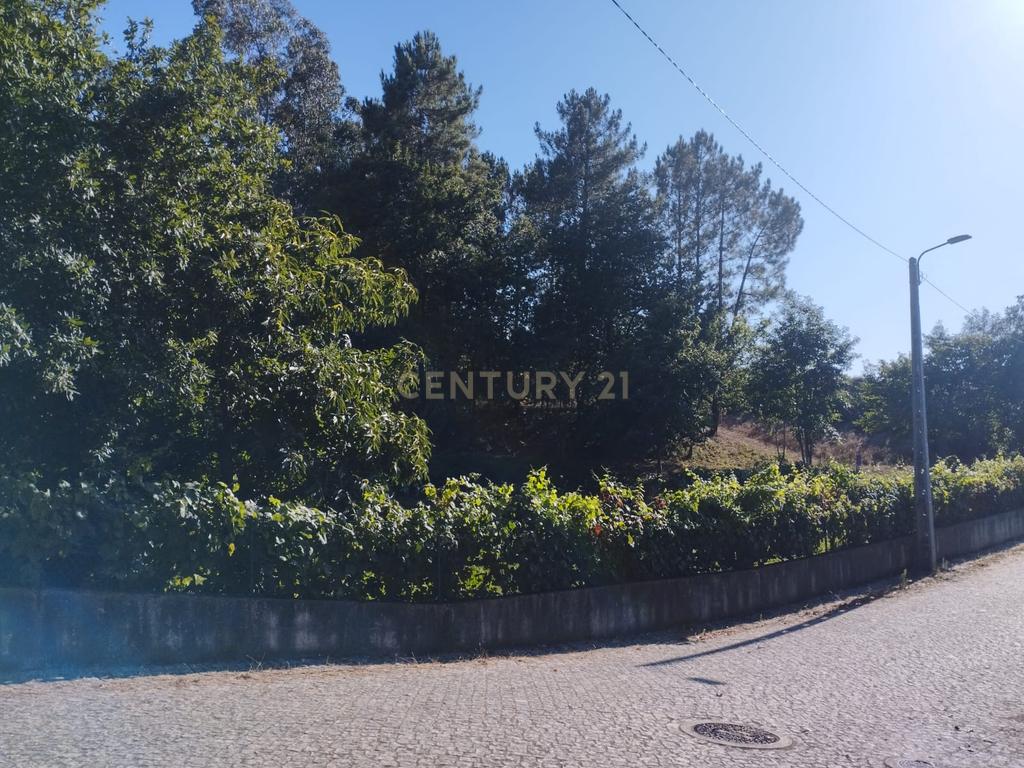 Grande moradia térrea, em Santo Tirso com área de lazer, anexo, jardim e terreno agrícola, Porto - Image 55