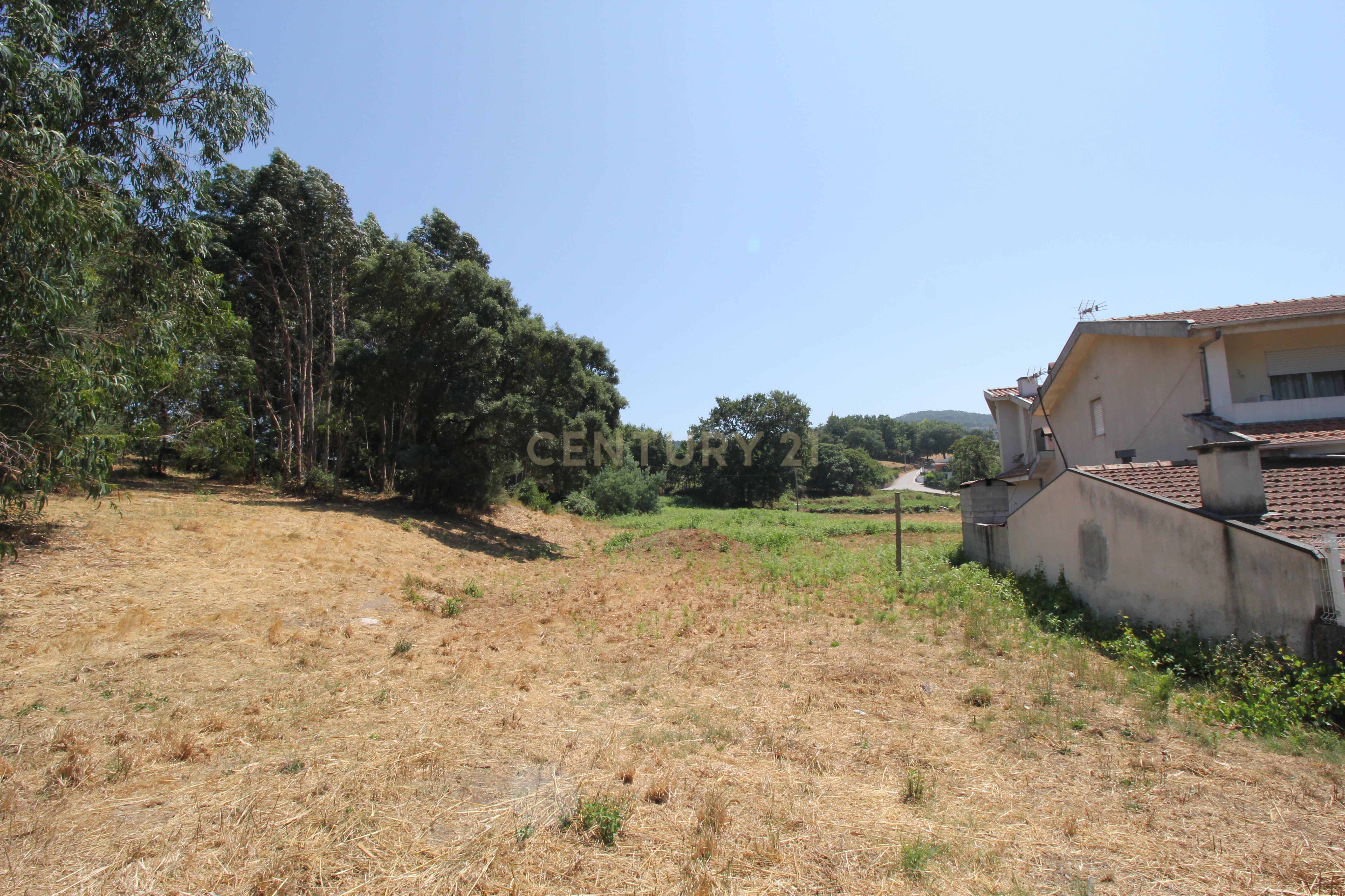 Land for sale in Penafiel, Portugal — €225,600
