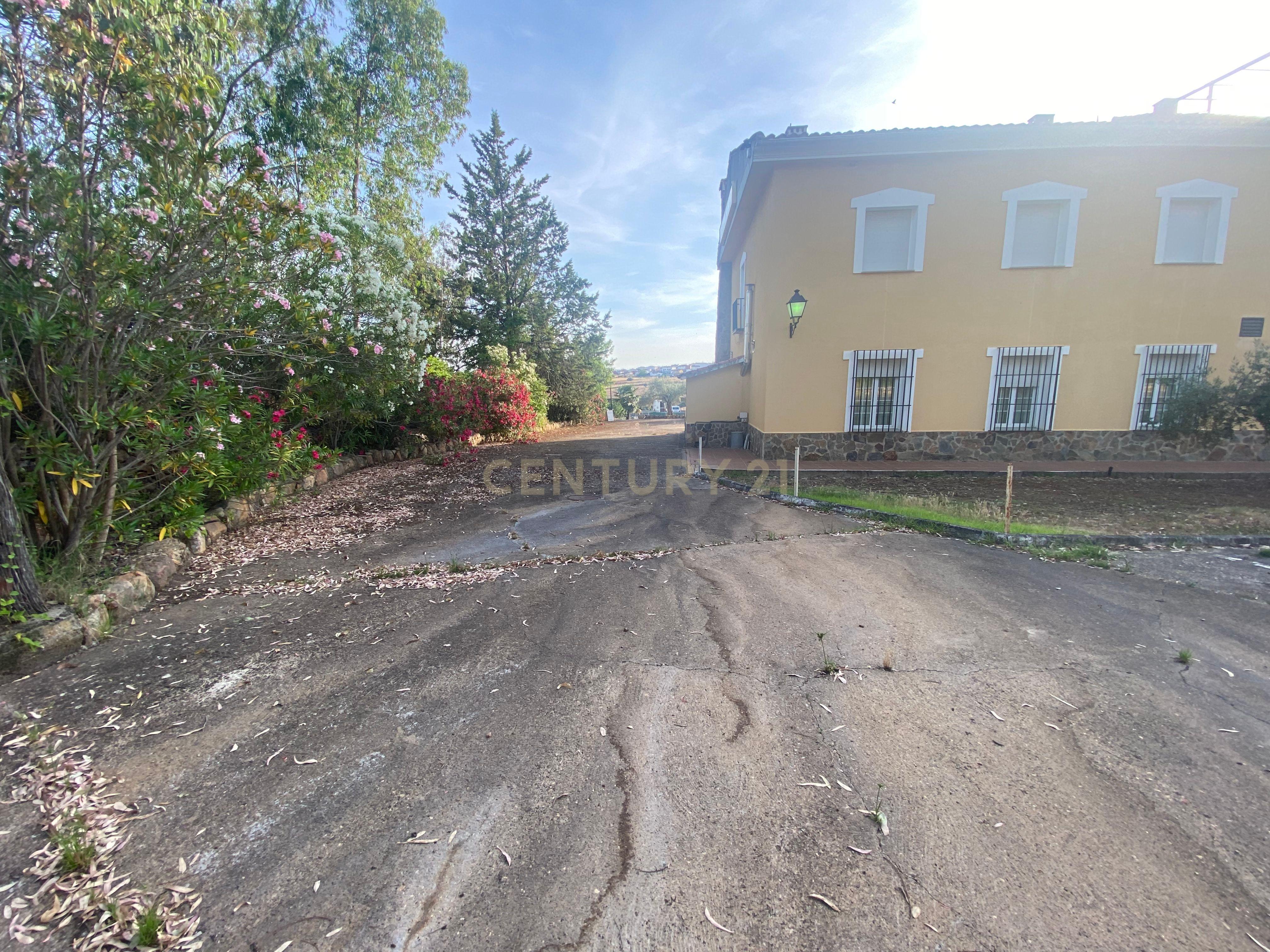 undefined - Image 15