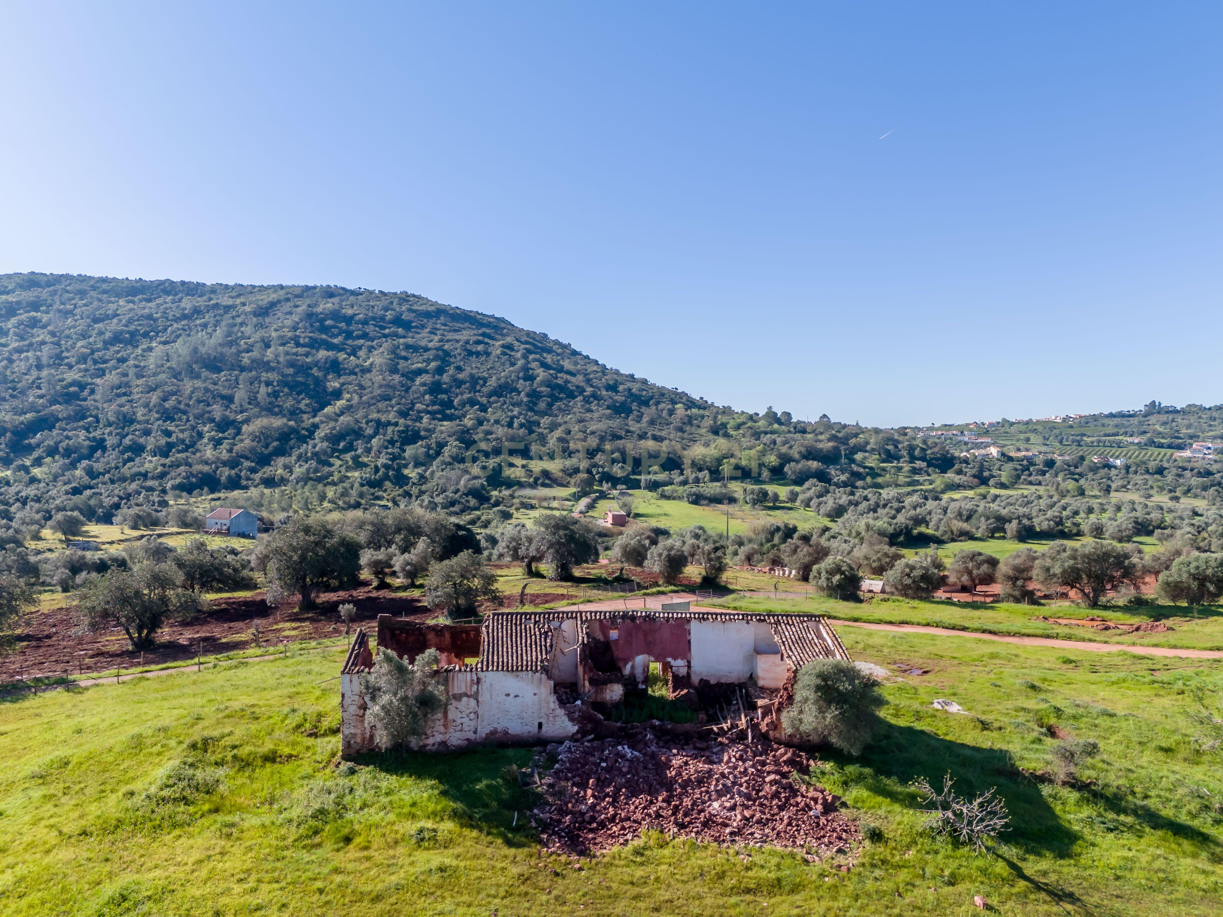 Quinta de 17,4 hectares no coração do Algarve ( S-B de Messines ) - Image 5