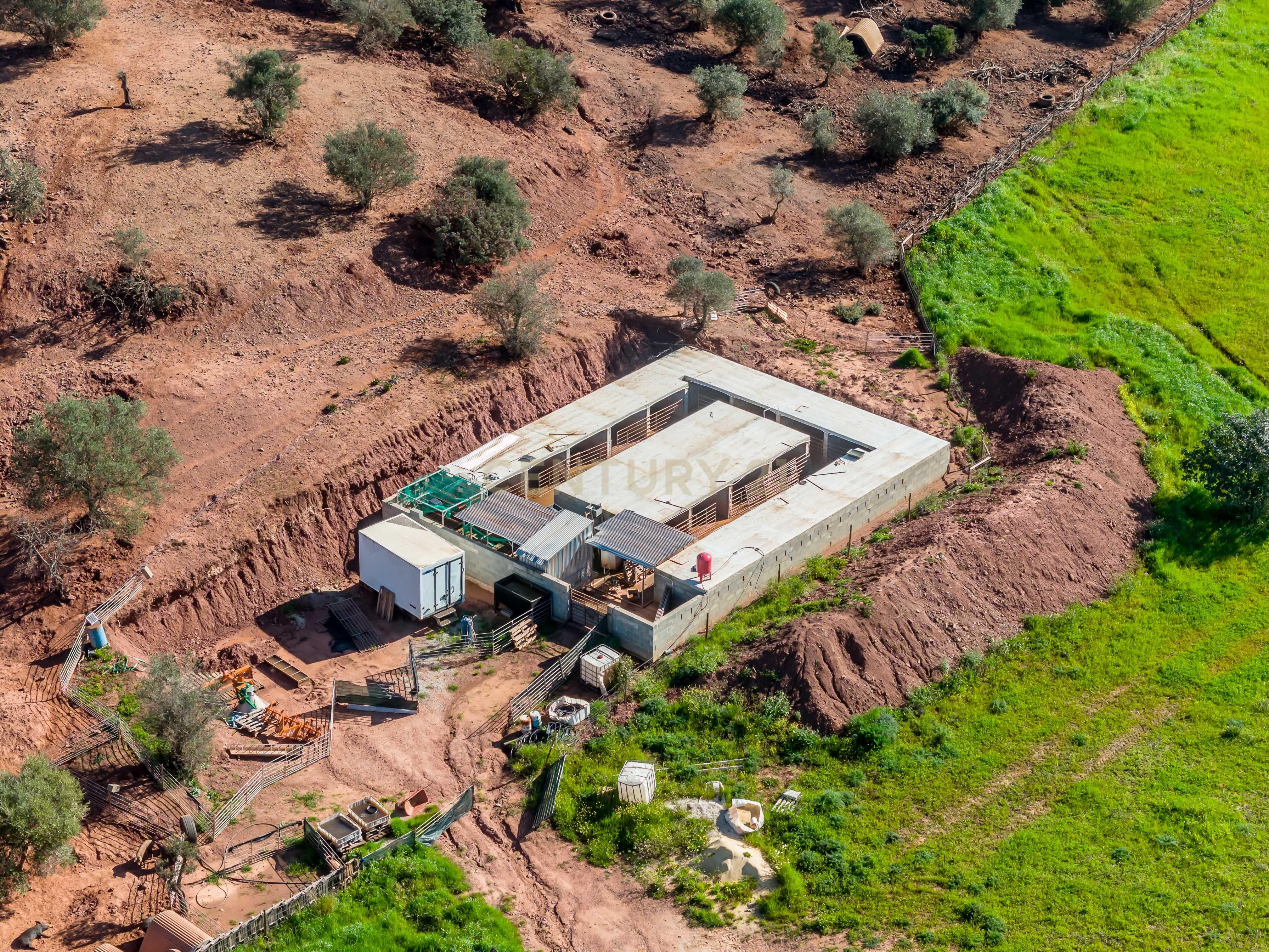 Quinta de 17,4 hectares no coração do Algarve ( S-B de Messines ) - Image 17
