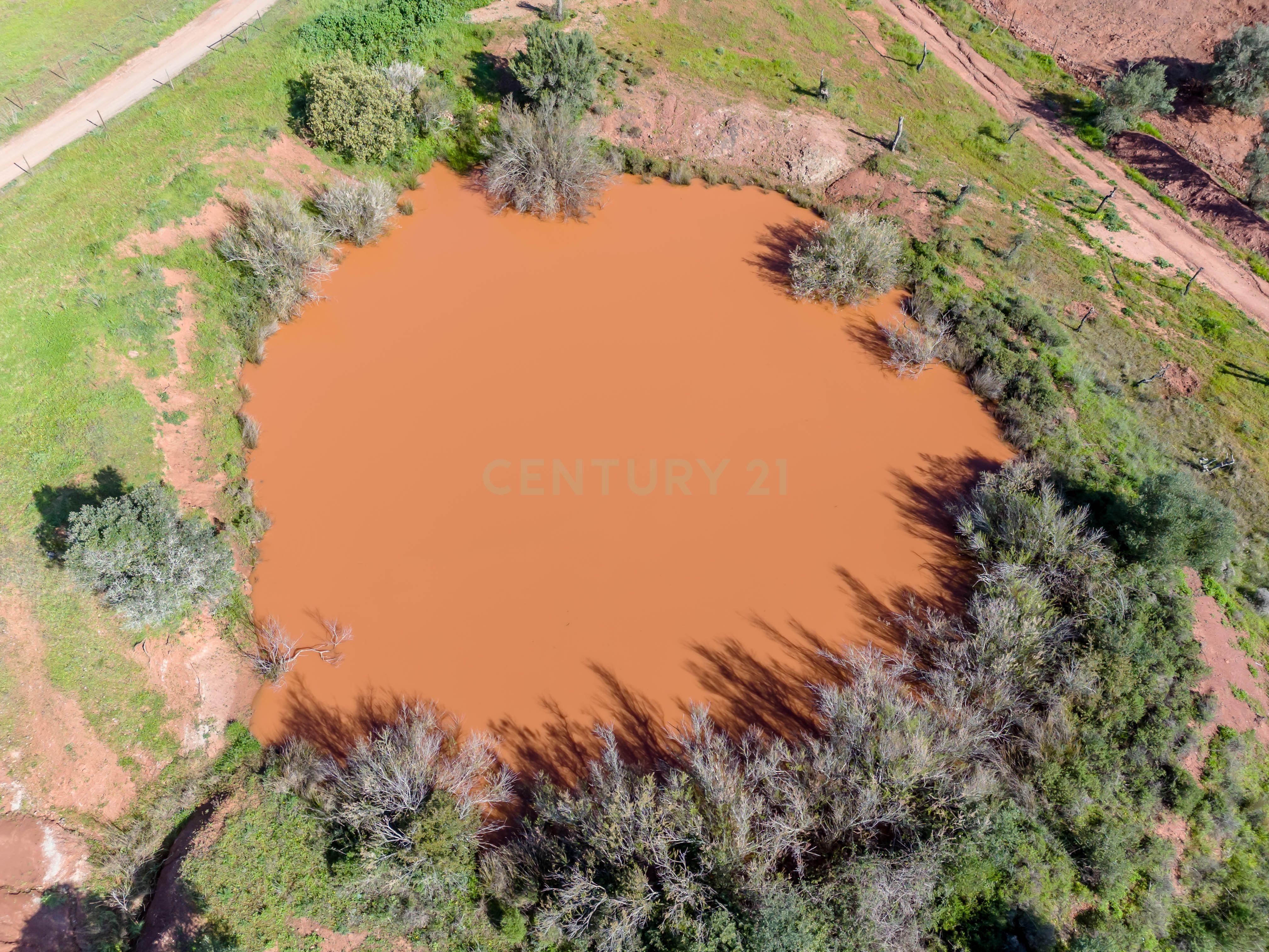 Quinta de 17,4 hectares no coração do Algarve ( S-B de Messines ) - Image 12