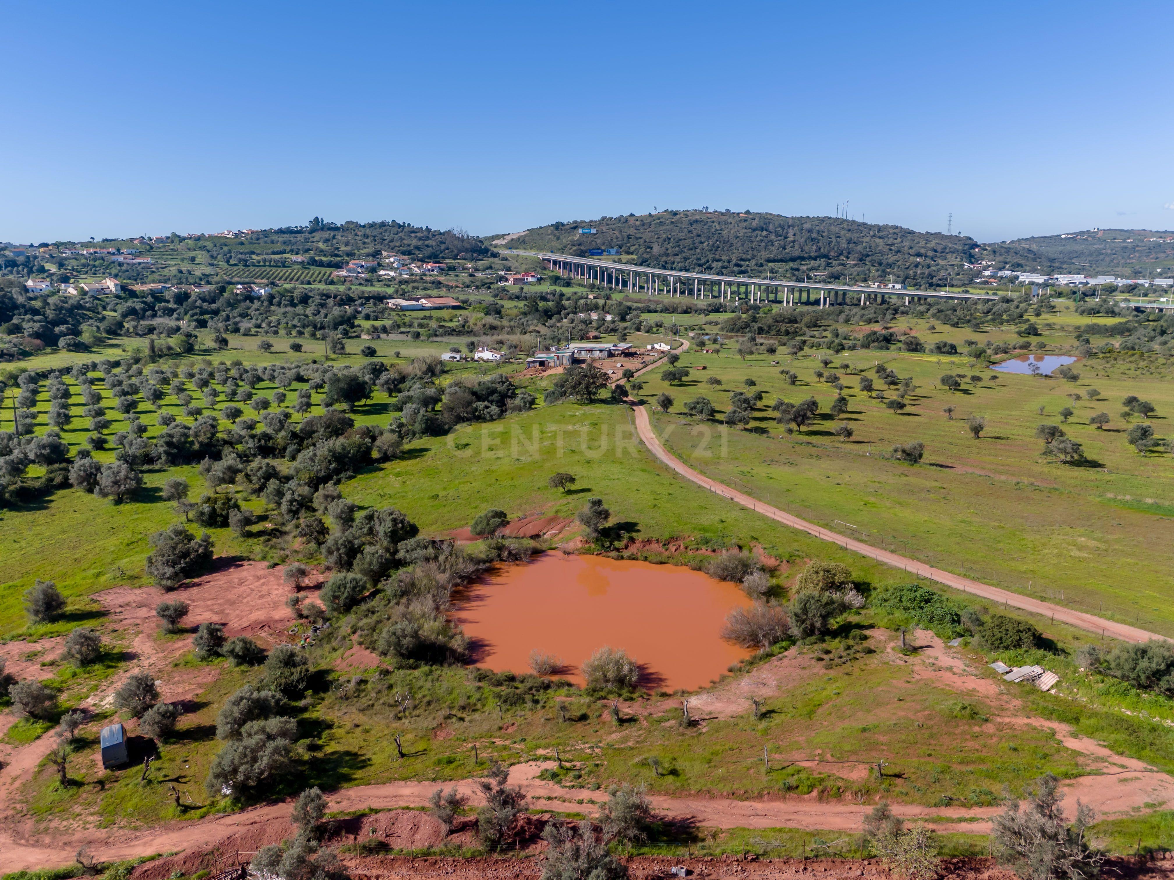 Quinta de 17,4 hectares no coração do Algarve ( S-B de Messines ) - Image 10