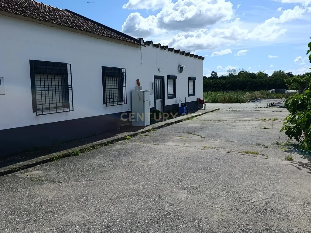 Quinta 8000m2 com 4 Moradias T2 e T3 - Image 17