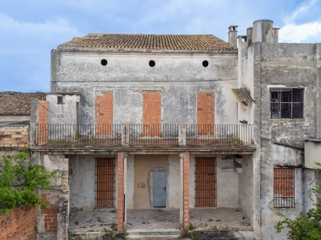 Palmera