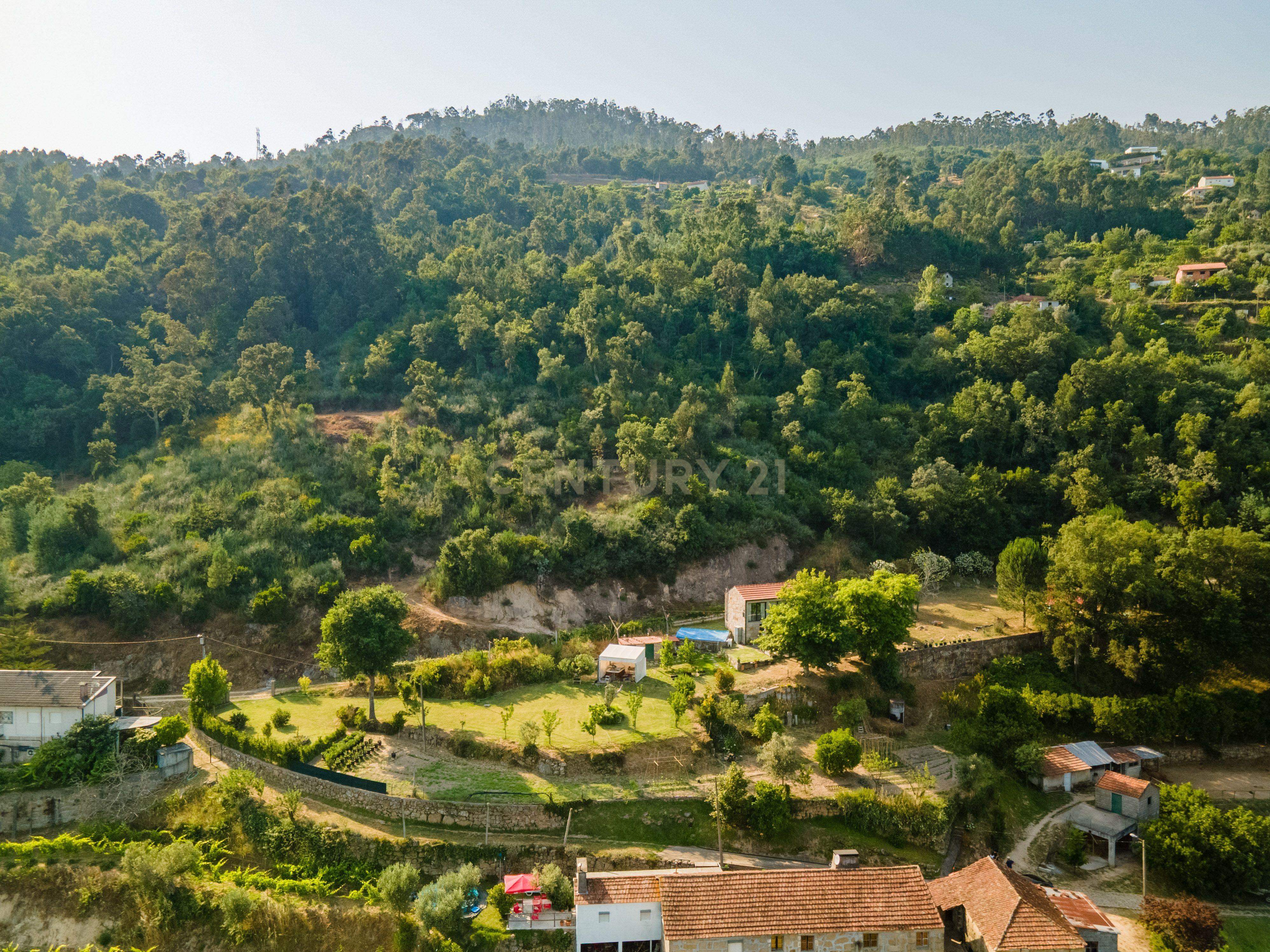 Quinta com Vista Deslumbrante sobre o Rio Douro – Projeto Aprovado para Hotel Rural | Paços de Gaiolo - Image 13