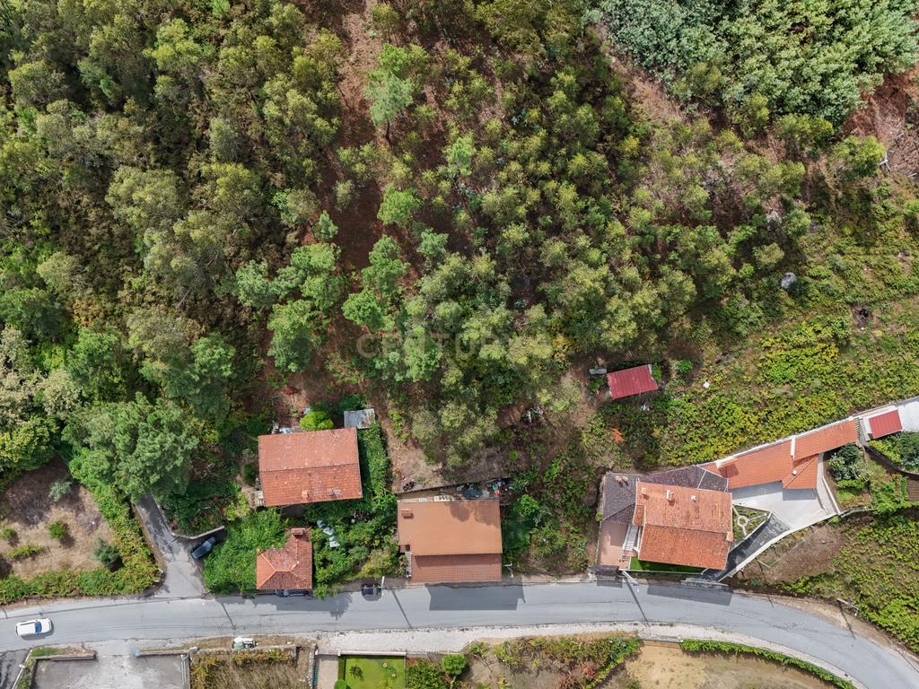 Venda de Terreno Rústico – Excelente Potencial para Projeto Fotovoltaico - Image 9