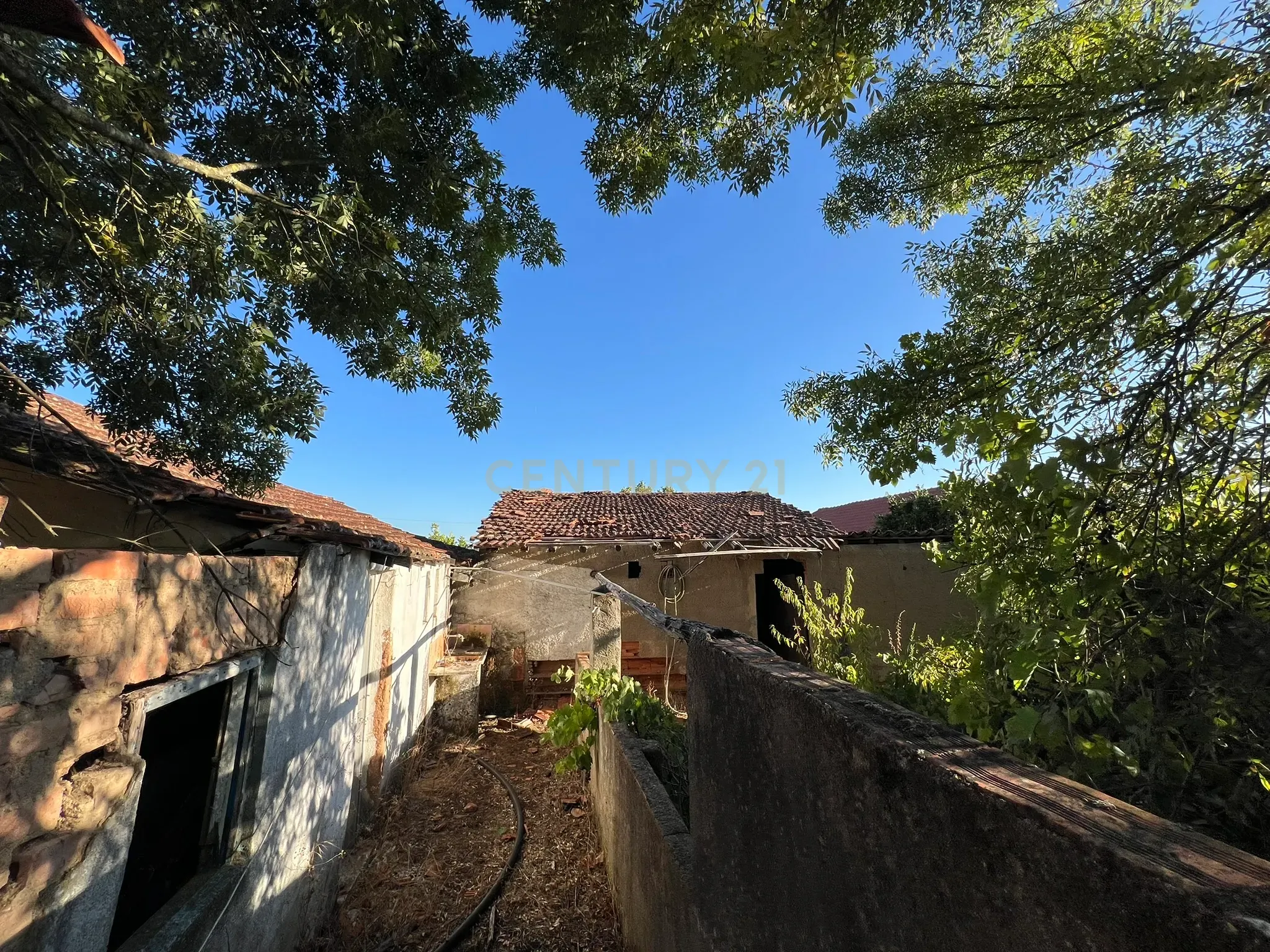 Fotografia 12 de Casa para Recuperação em Serra e Junceira, Tomar