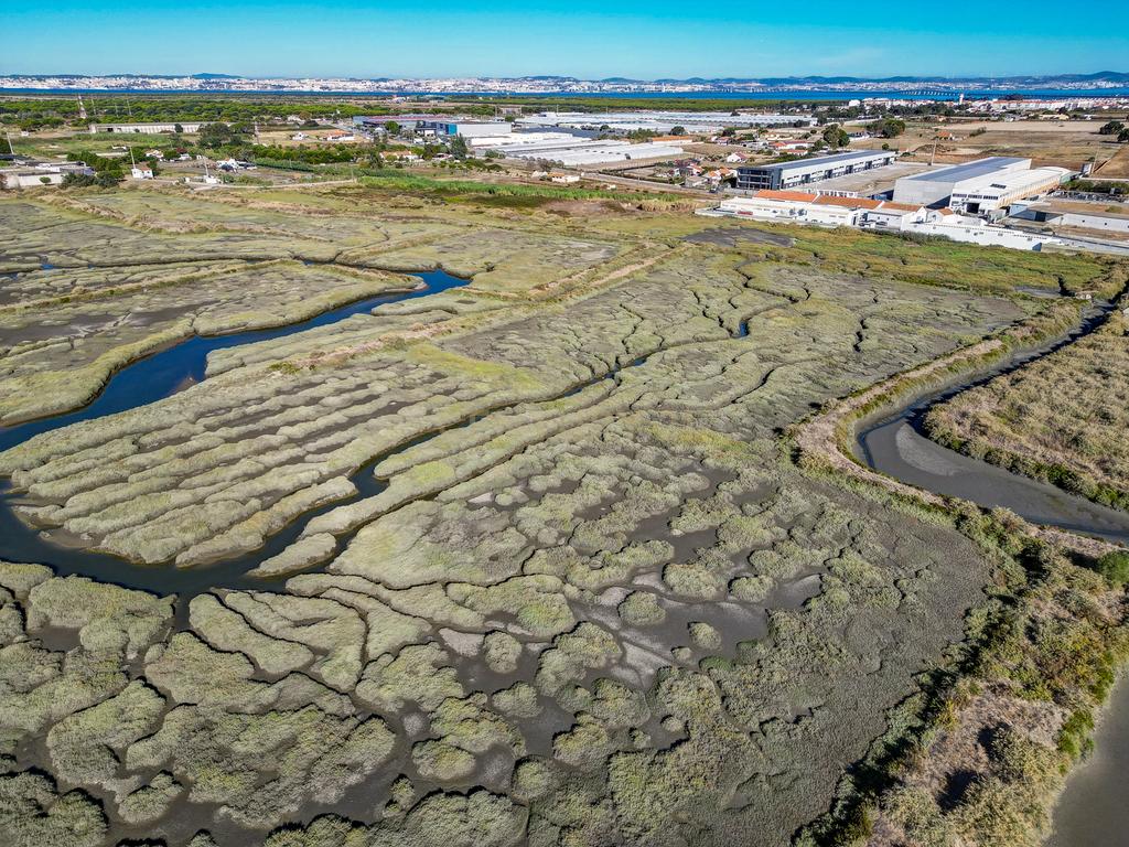 Terreno 20,18ha, Montijo - Seixalinho, para actividades de piscicultura e agricultura - Image 32