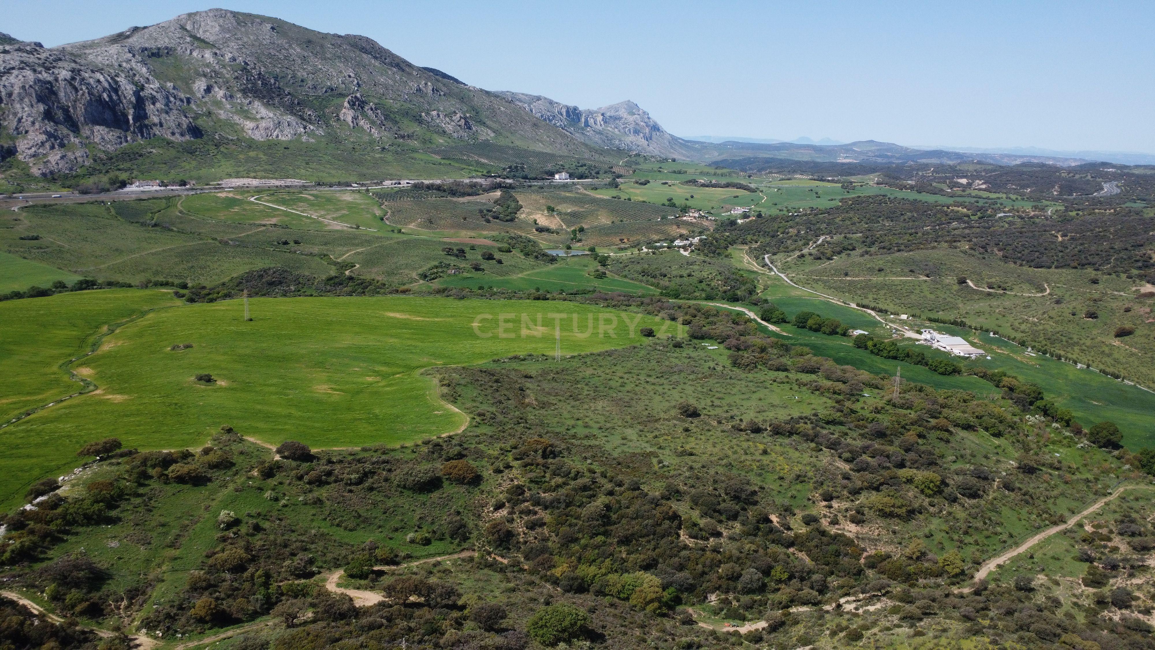 VENDA DE PROPRIEDADE RÚSTICA EM ANTEQUERA COM EXPLORAÇÃO DE AGROTURISMO - Image 5