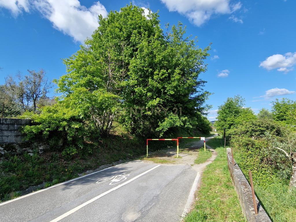 Terreno com vista deslumbrante para a Serra do Caramulo, junto à Estação de Moçâmedes e ciclovia, em Vouzela - Image 3