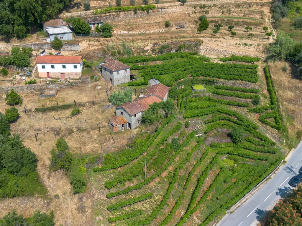 Quintinha com 2 casas em pedra para recuperar + 2 terrenos com vinhas-( 8.210m2 ) -Douro Vinhateiro! - Image 46