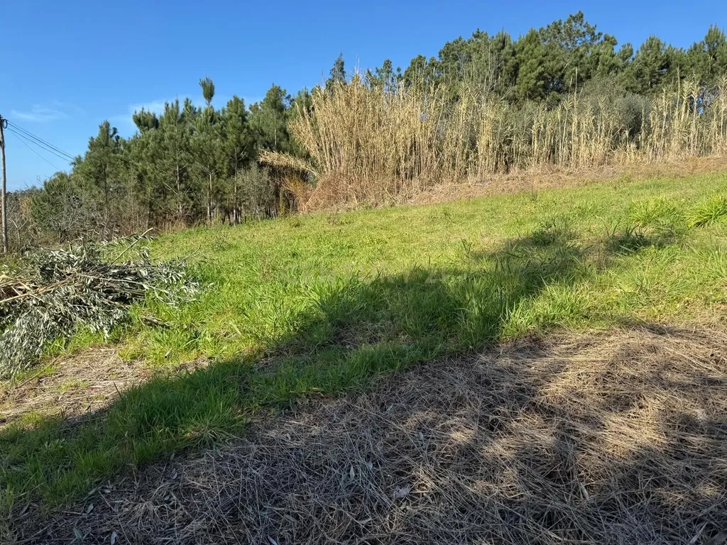Terreno Panorâmico em Pombal - 1020m² por 34.500€ - Image 6