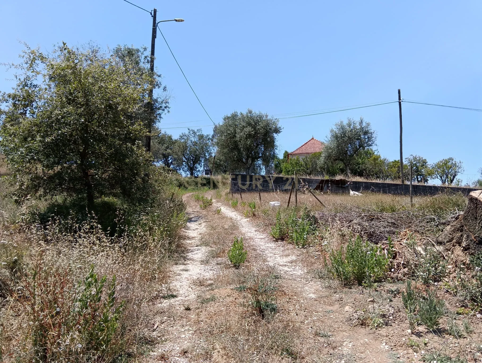 Fotografia 5 de Terreno com Vista Panorâmica em Santiago de Litém em Pombal.