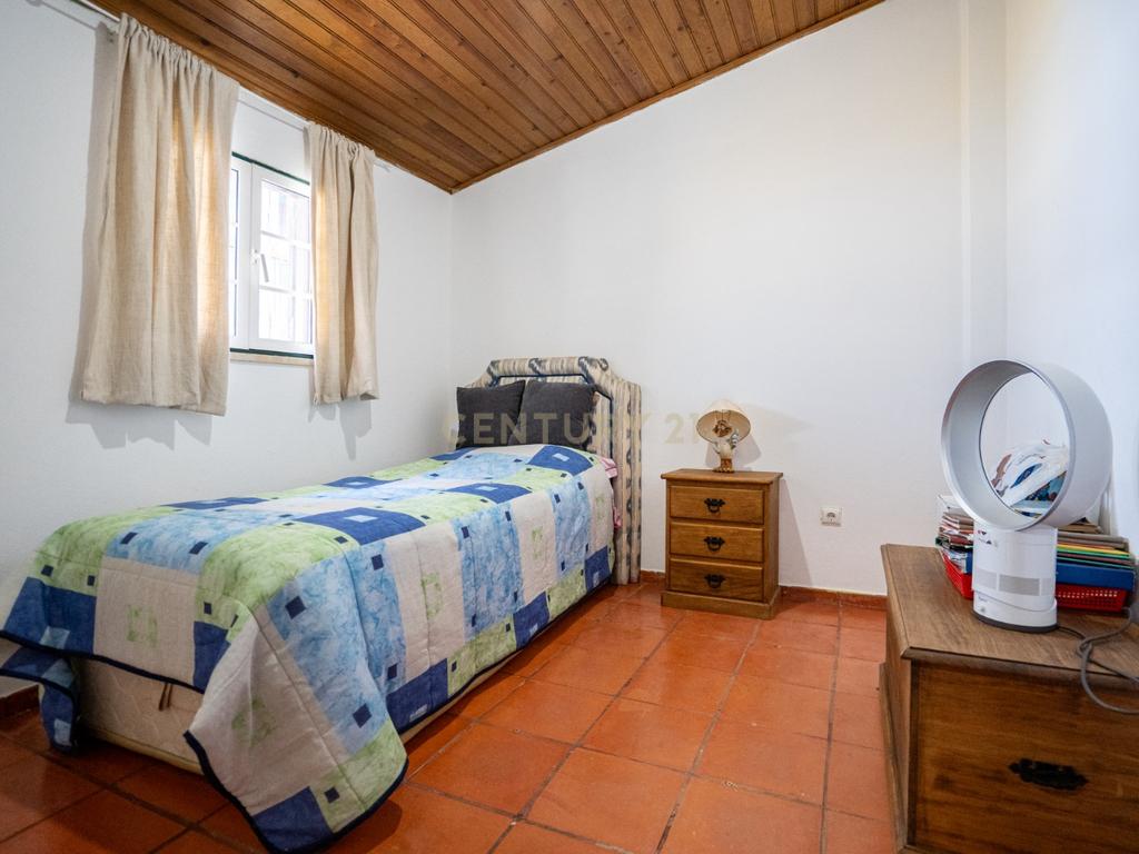 Quinta Equestre a 45 minutos de Lisboa - Image 22