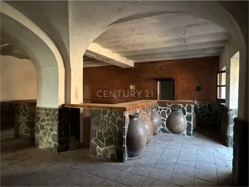 - Image 16