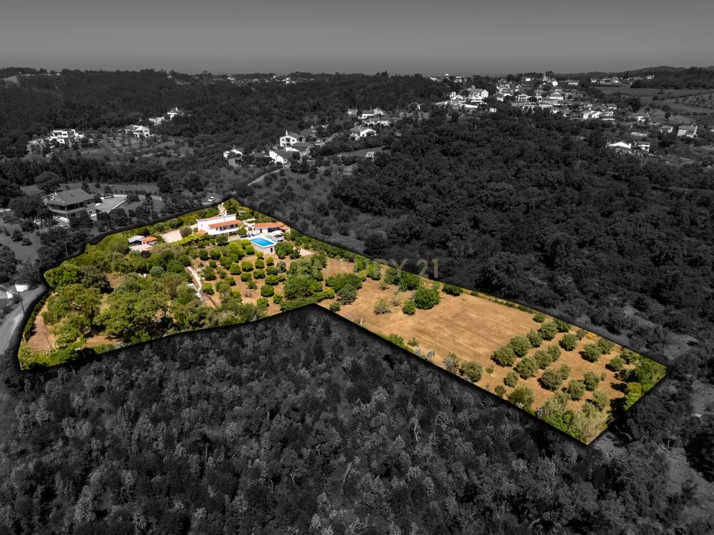 Quinta de 1ha vedada com piscina, jacuzzi, pomar e vista panorâmica em Olalhas, Tomar - Image 30